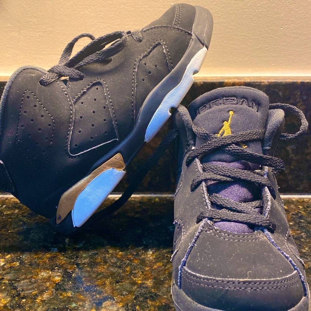Jordan 6 VI DMP